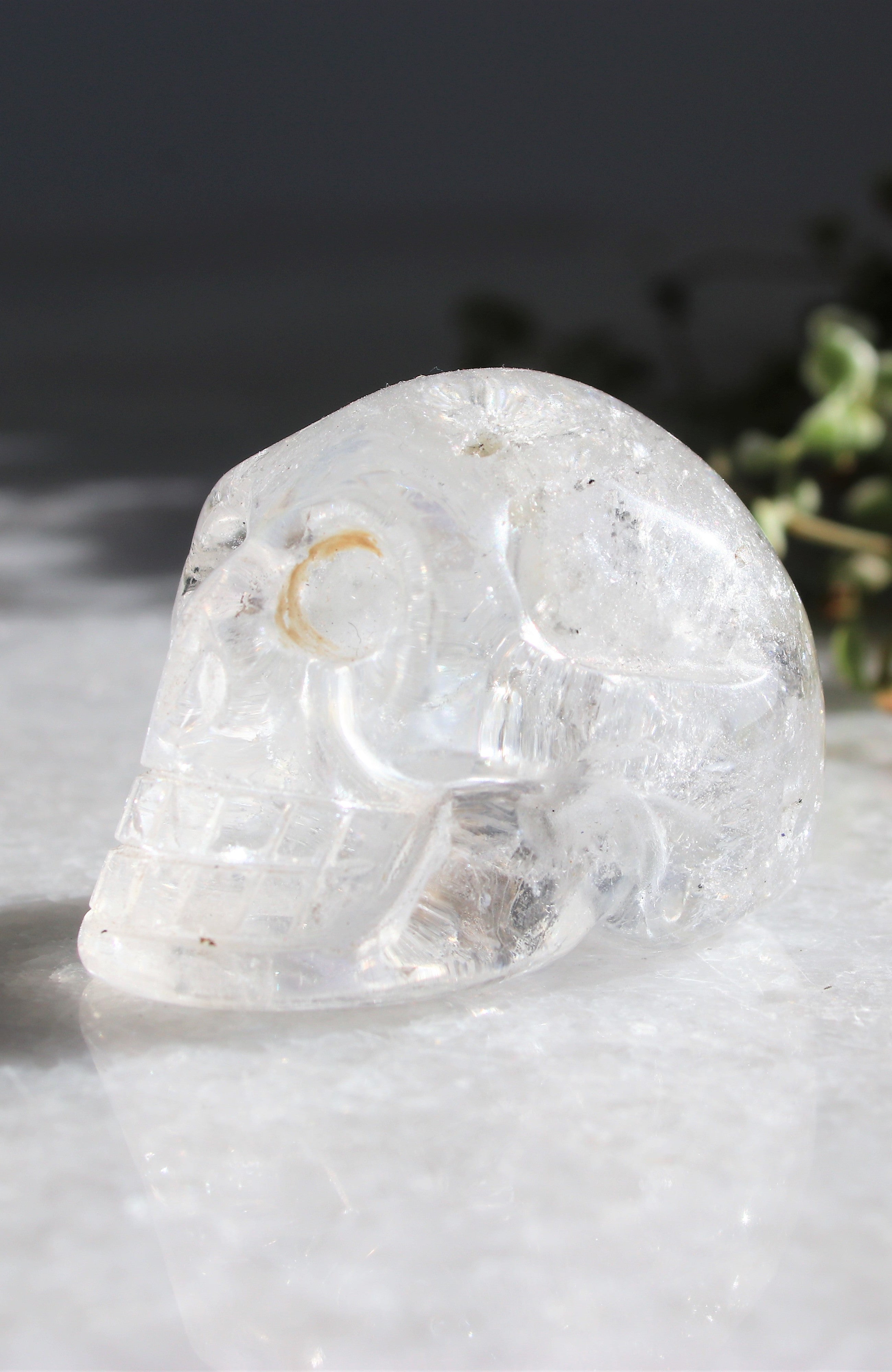 Black Tibetan Quartz Skull AA